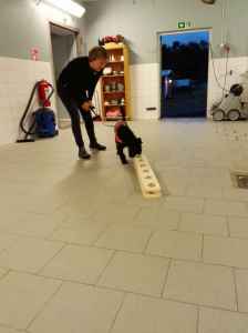 IMG 20160929 184958