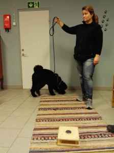 IMG 20170124 200240