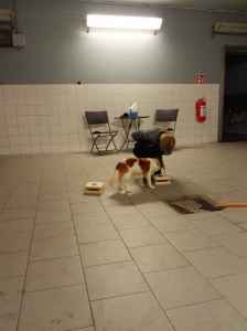 IMG 20170124 200436