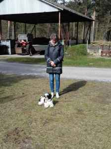 IMG 20170422 154447