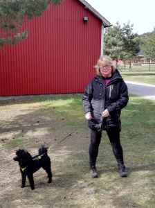 IMG 20170422 154521